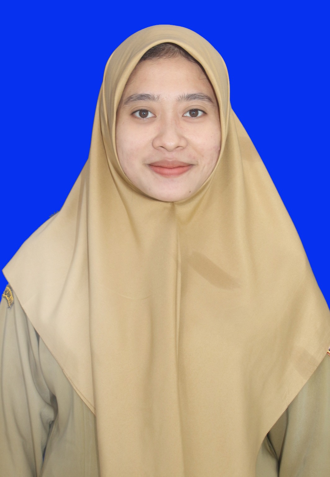 Dina Ayu Widyastuti, S.Pd
