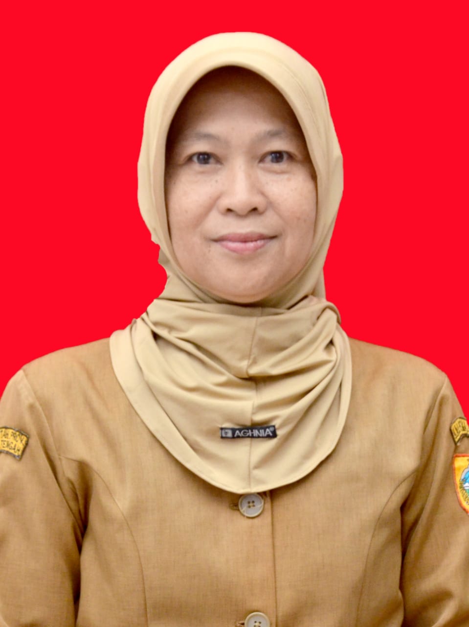 Benik Dwi Pri Lestari, M.Pd