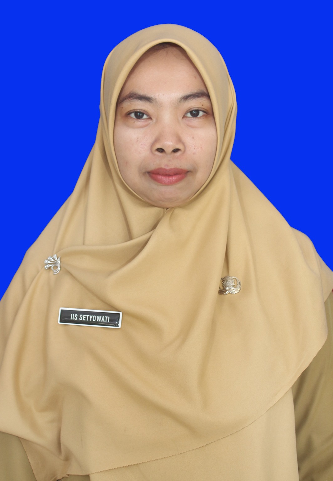 Iis Setyowati, S.Pd.